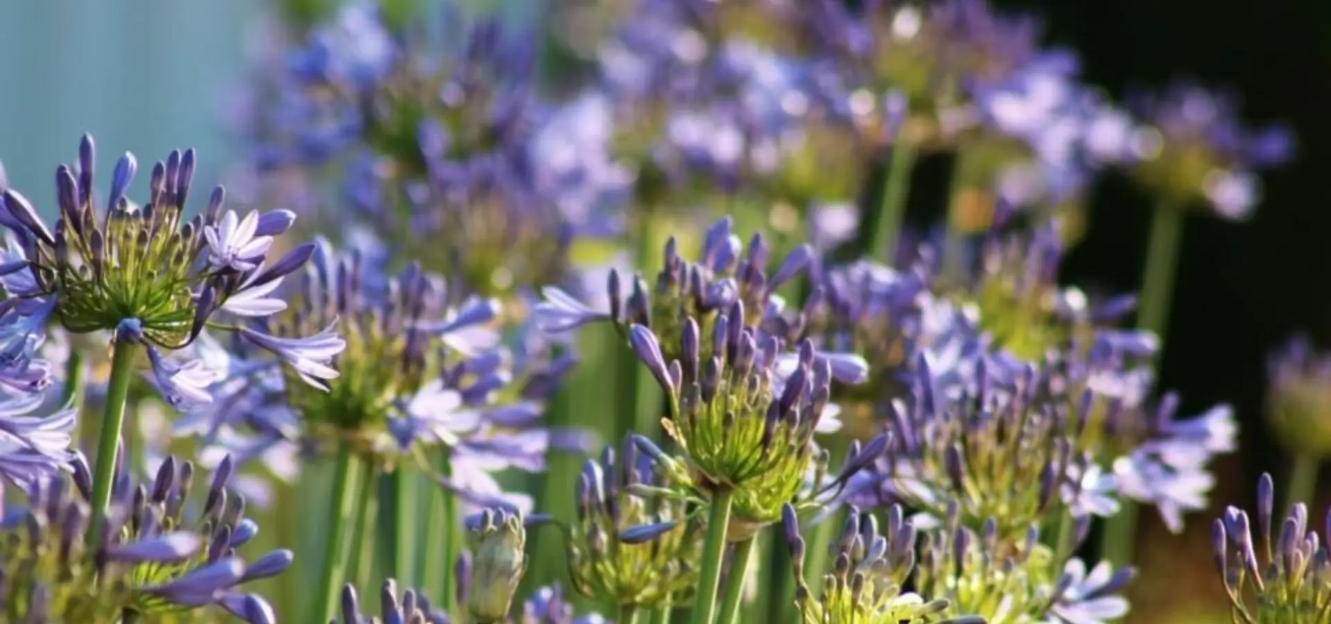 Picture95 638761603994523065